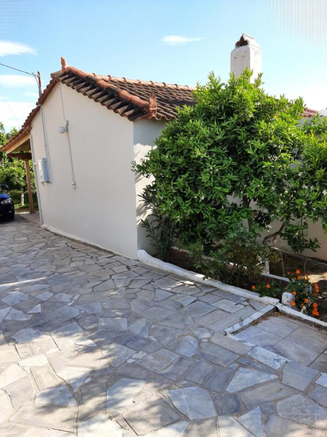 Agis Apartment#4